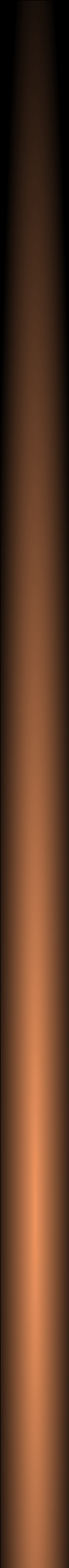 leftbar